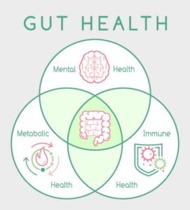 Read more about the article 5 Proven Ways to Transform Your Gut Health Naturally