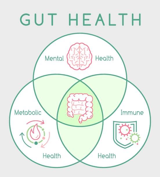 5 Proven Ways to Transform Your Gut Health Naturally